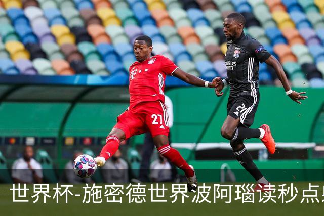 世界杯-施密德世界波阿瑙读秒点射破门 奥地利3-1约旦